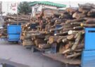 كشف ۷ تن چوب قاچاق در كاشمر