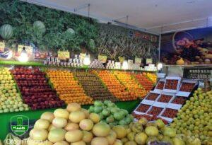 کاهش ۱۰ تا ۱۵ درصدی قیمت میوه