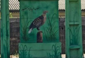 رنگ‌آمیزی کافو‌های بندر کیاشهر با بهره‌گرفتن از تصاویر پرندگان پارک ملی بوجاق