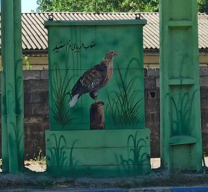 رنگ‌آمیزی کافو‌های بندر کیاشهر با بهره‌گرفتن از تصاویر پرندگان پارک ملی بوجاق
